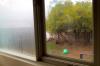 Window film on and off.jpg Thumbnail
